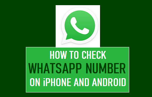 How to Check WhatsApp Number on Android and iPhone [2022 Latest!]