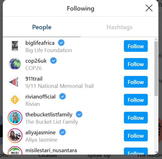 instagram following