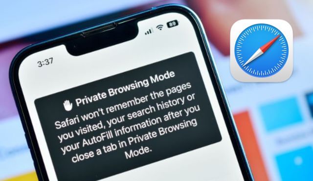 how to view private browsing history in safari on iphone