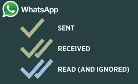 whatsapp ticks meaning